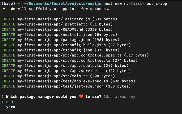 Choosing package manager